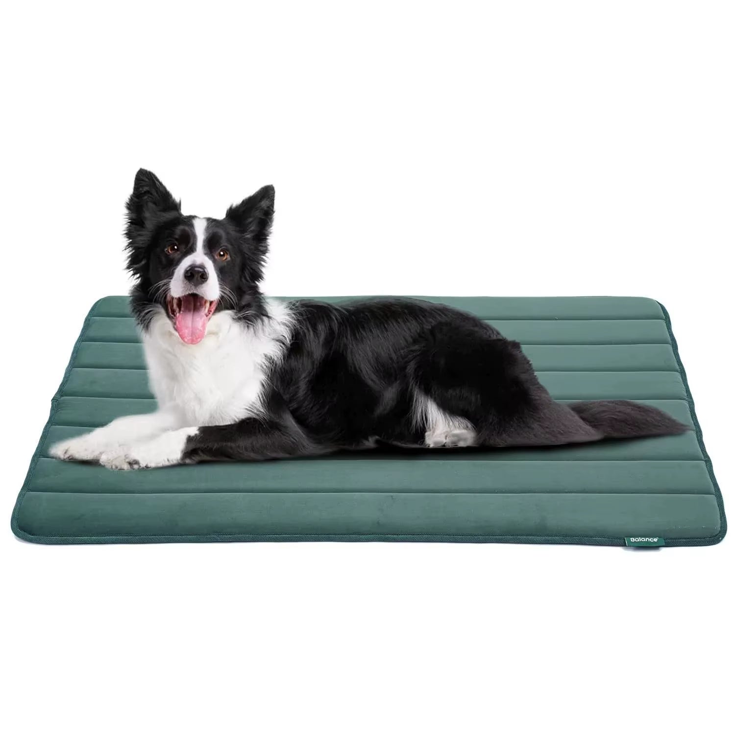 Factory Direct for Amazon New Pet Mat for Dog Cage Waterproof Washable Non-Slip Mat Heating Feature Animal Pattern Winter Pads