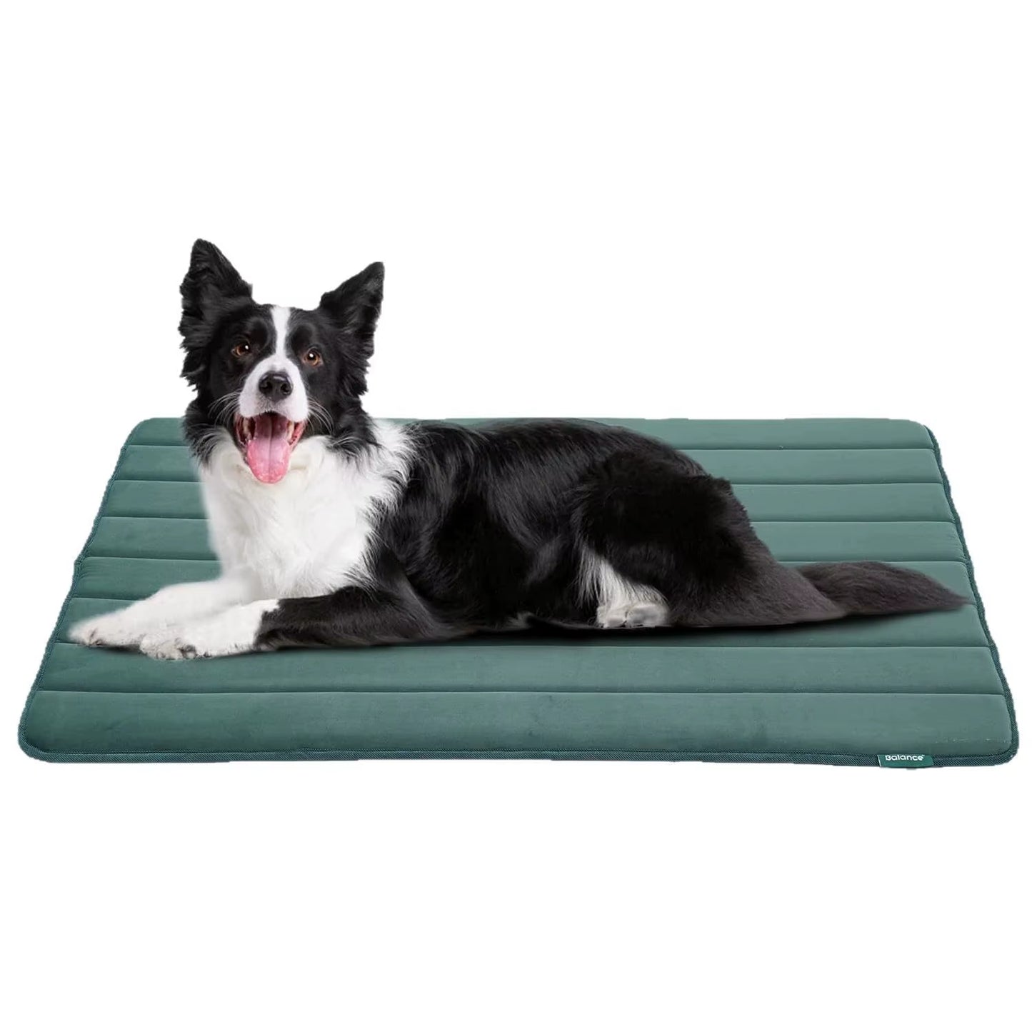 Factory Direct for Amazon New Pet Mat for Dog Cage Waterproof Washable Non-Slip Mat Heating Feature Animal Pattern Winter Pads