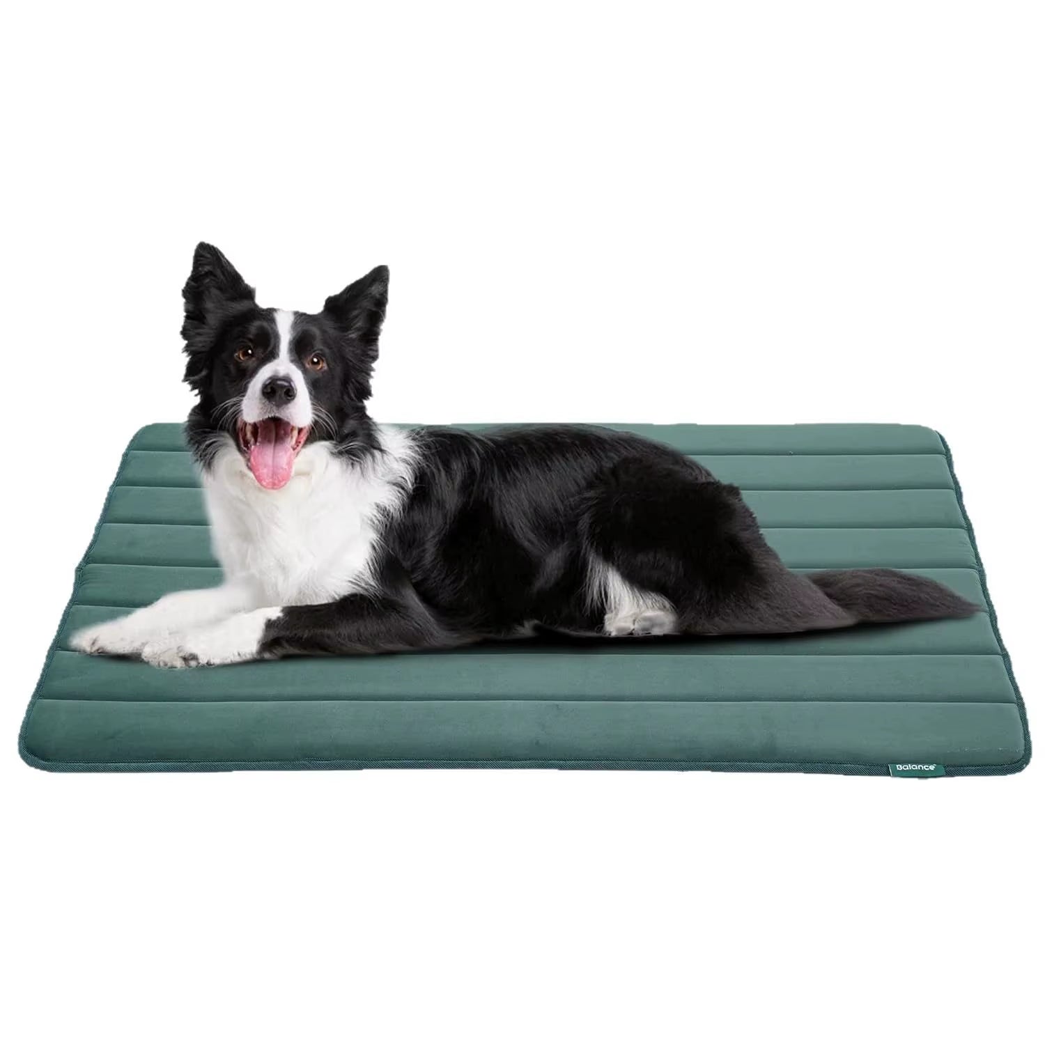 Factory Direct for Amazon New Pet Mat for Dog Cage Waterproof Washable Non-Slip Mat Heating Feature Animal Pattern Winter Pads